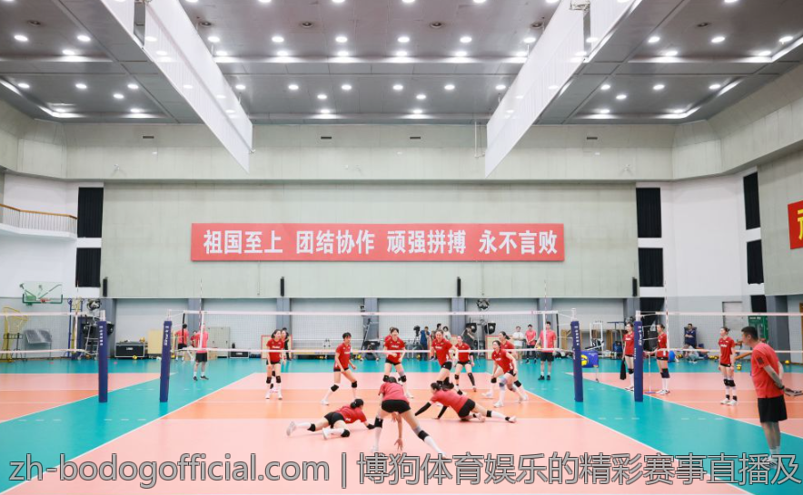 博狗体育娱乐的精彩赛事直播及回放